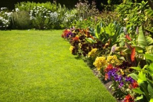 flower mound lawn care