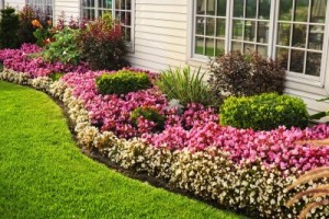 How do you build a flower bed?