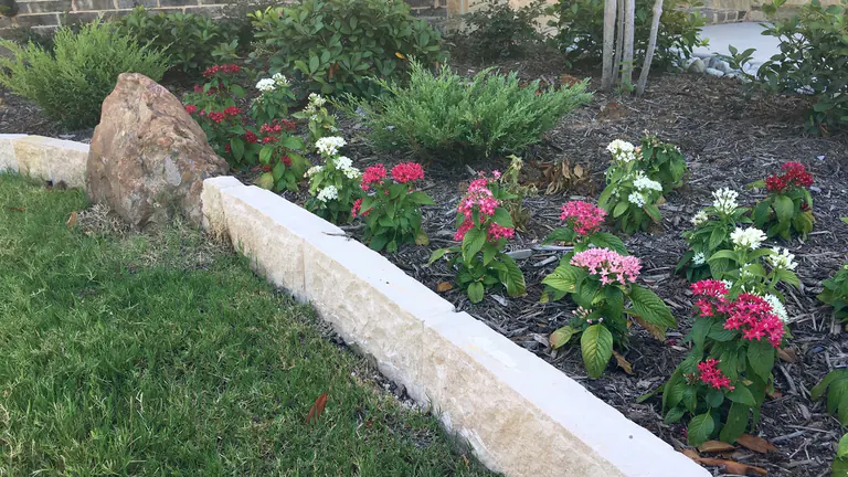 Chopped limestone bed border planted with seasonal color