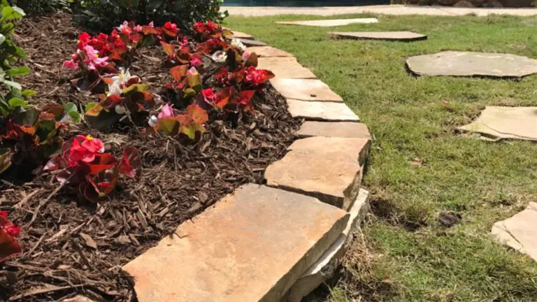 Flagstone bed border set flush with the lawn beside red begonias