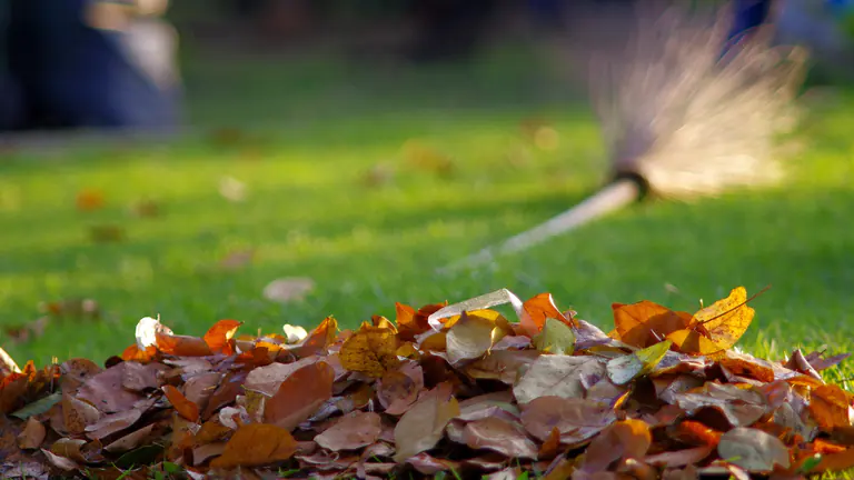 Leaves and debris being blown out of a landscape bed