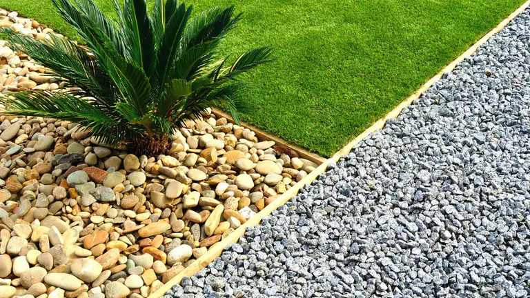 Pebble bed with a sago palm meeting a crisp lawn edge