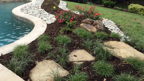 Poolside planting bed edged with white rock and ornamental grasses