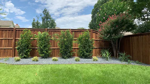 Row of new privacy shrubs set in a rock bed along a fence line