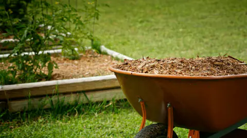 Timber raised bed being filled with fresh mulch from a wheelbarrow