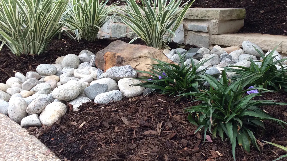 White river rock and mulch bed with ornamental grasses in DFW