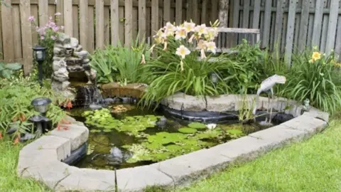 Small water feature framed with stone and surrounded by plantings