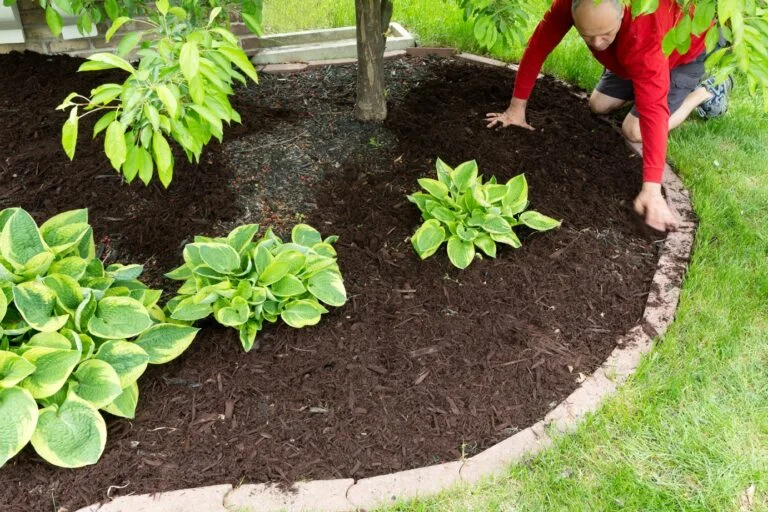 Professional mulch installation in DFW