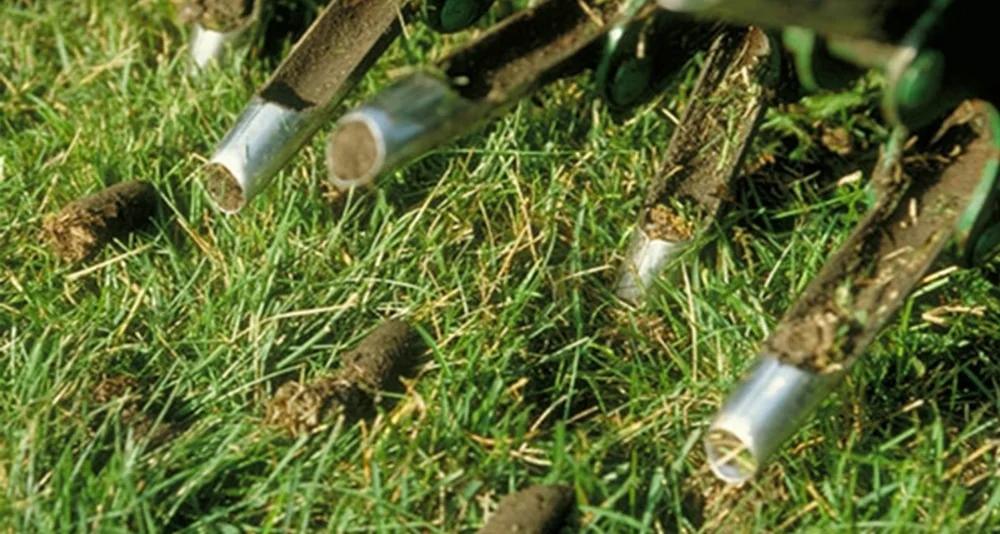 Top Dressing Lawn Service