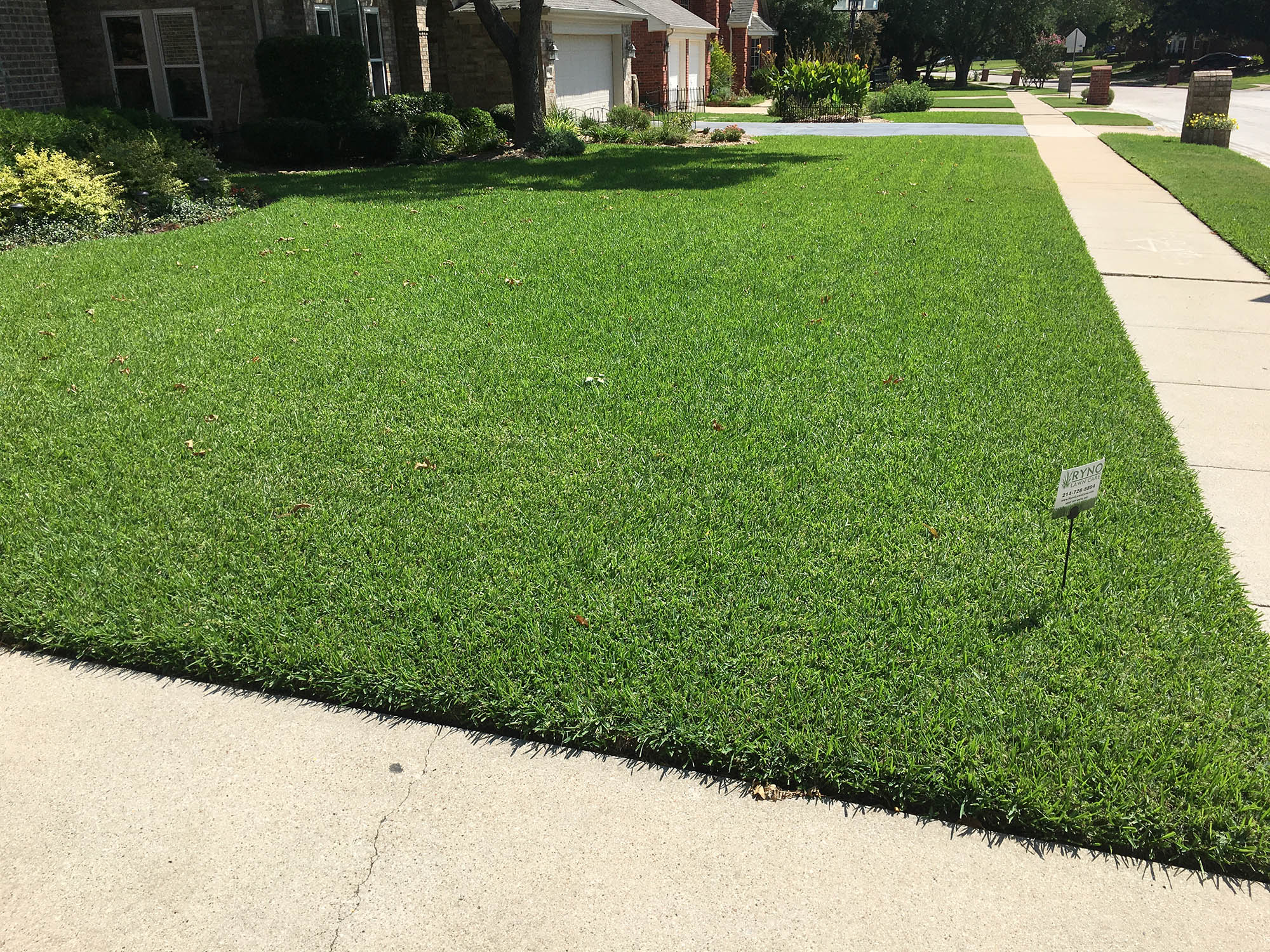 How Much Should Lawn Care Cost?