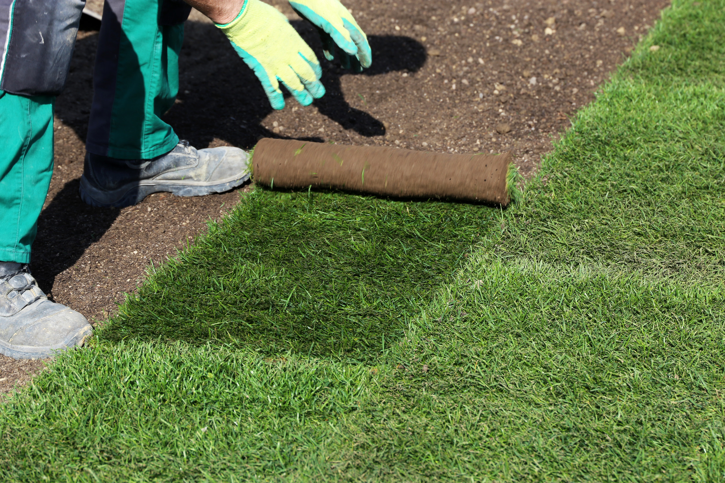 Trophy Club Sod Installation - Premium Quality Sod Grass
