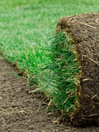 Sod Installation Lewisville, TX | Ryno Lawn Care, LLC