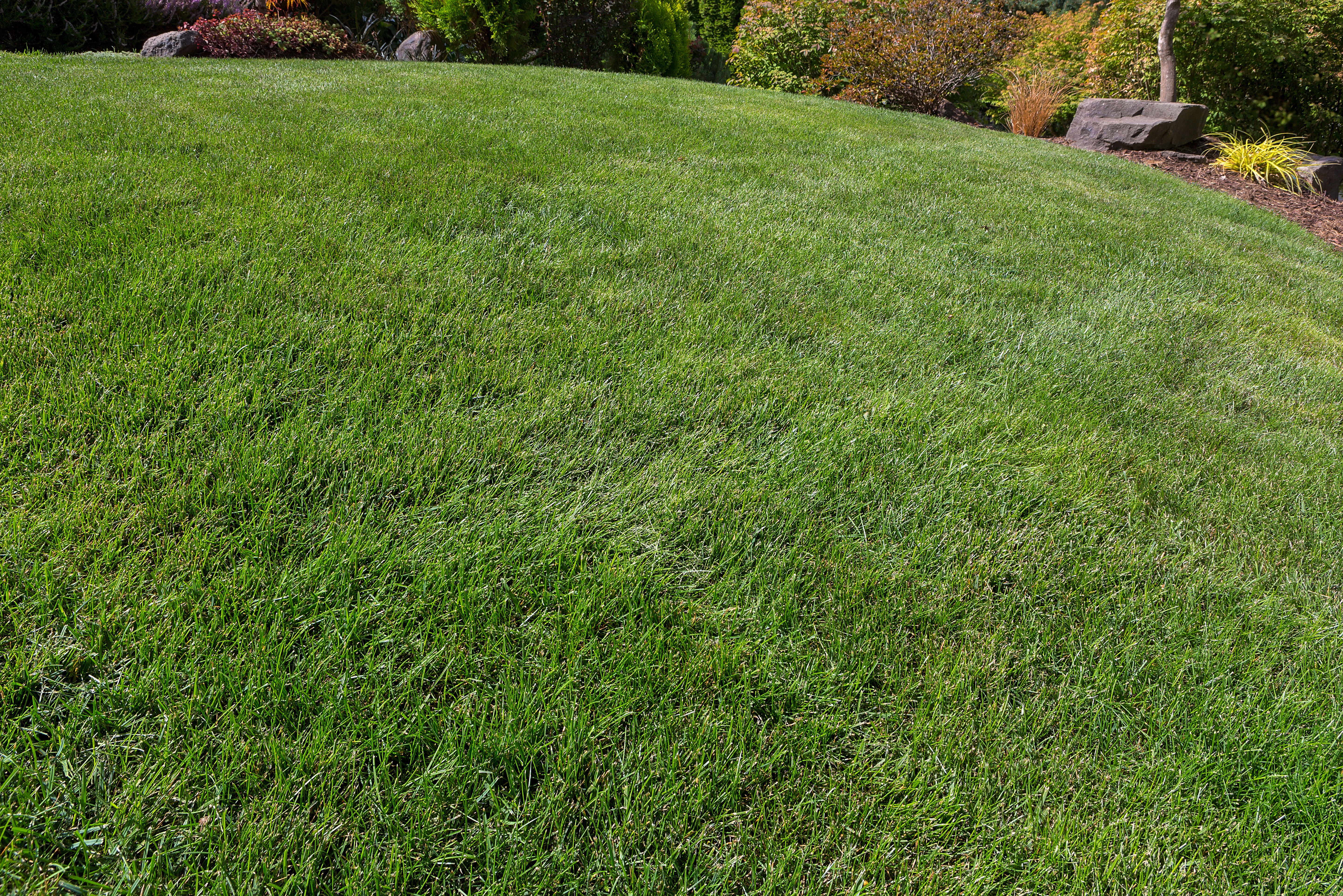 Grapevine, TX Service Area - Ryno Lawn Care, LLC