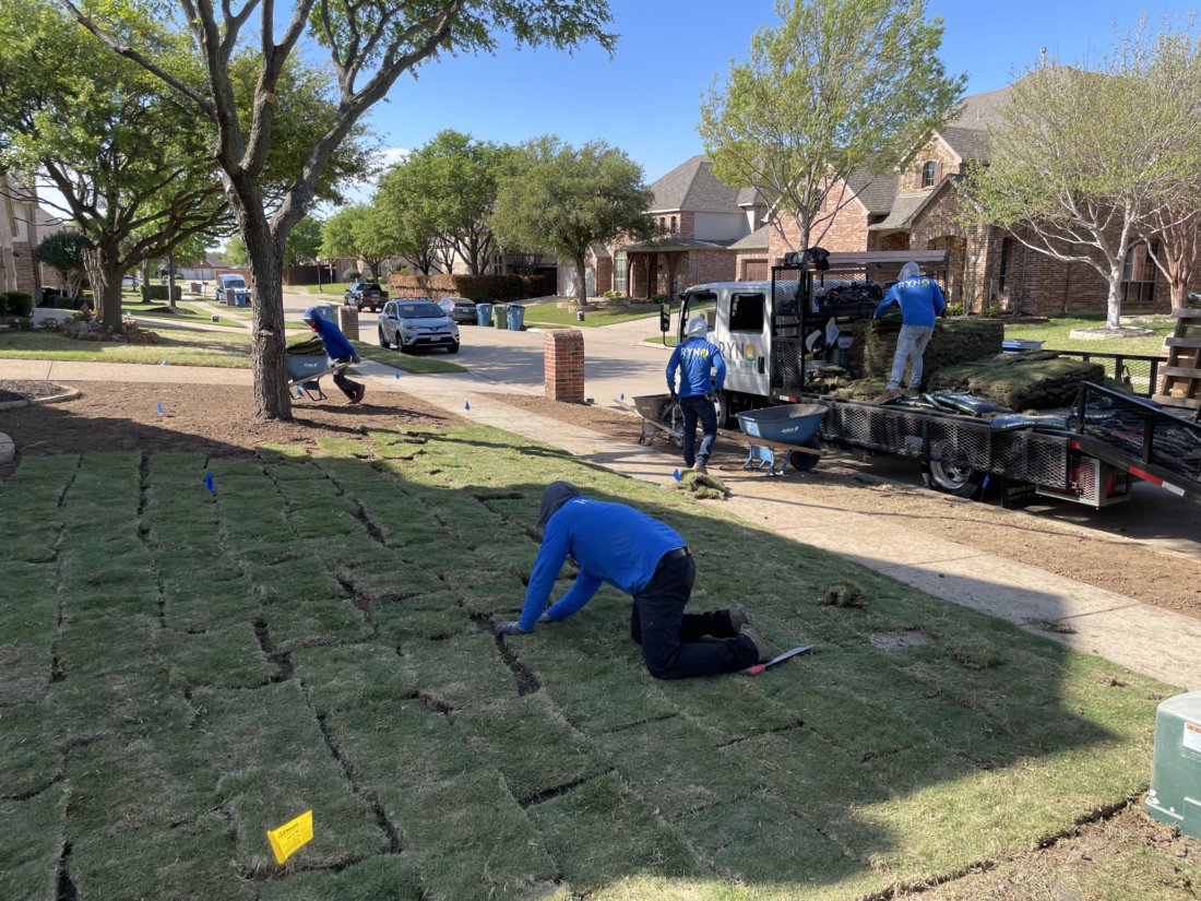 Frisco Sod Installation | Expert Lawn Solutions for a Lush Yard