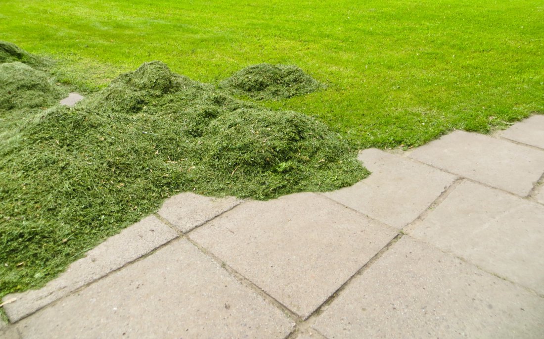 grass clippings on lawn