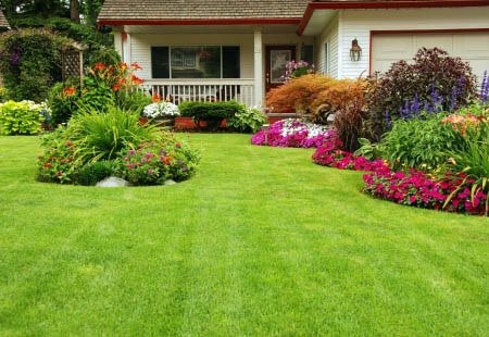 Carrollton Landscaping Services by Ryno Lawn Care