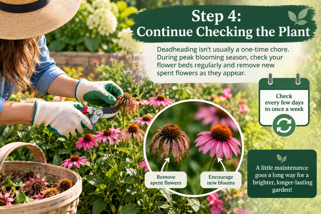 check for dead blooms