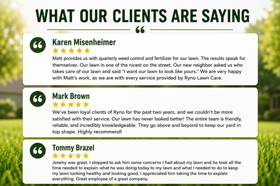 flower mound client reviews