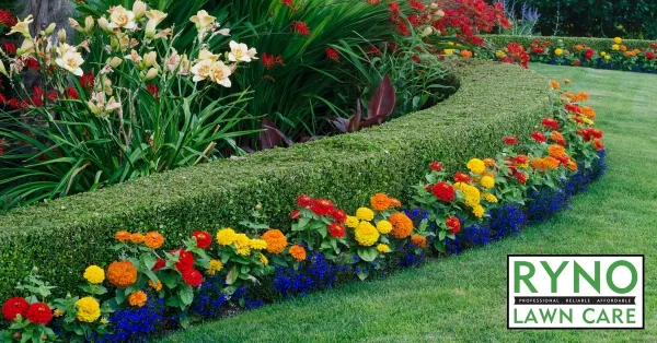 Garden Landscaping