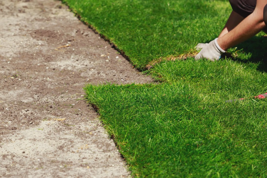 Sod Installation Lewisville, TX | Ryno Lawn Care, LLC
