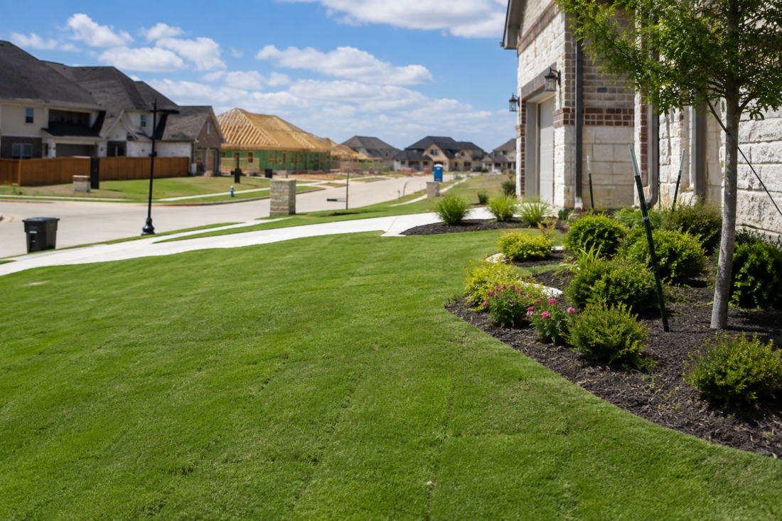 new lawn haslet