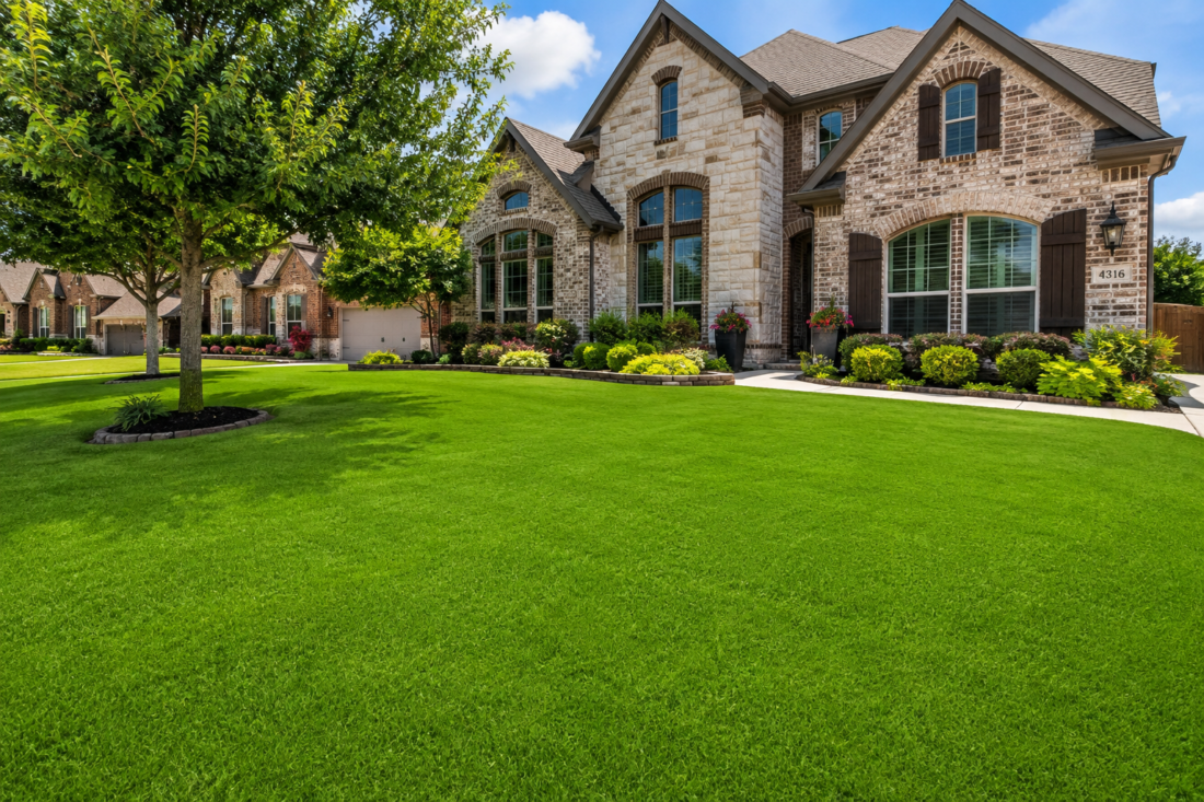 9 Reasons Ryno Stands Out Among DFW Weed Control Companies