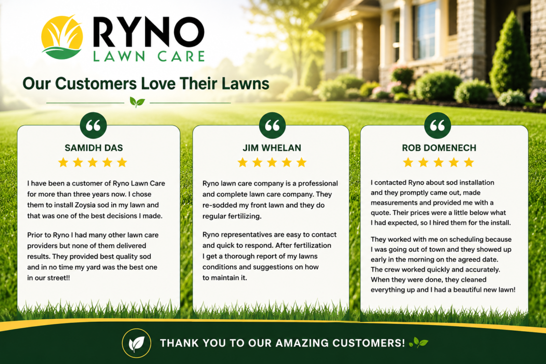 client reviews sod installation ryno