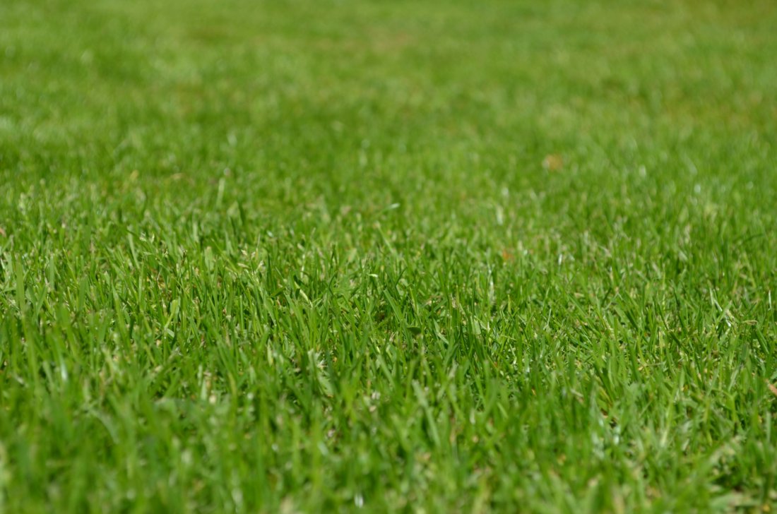 Southlake Lawn Fertilization Service - Guaranteed Results