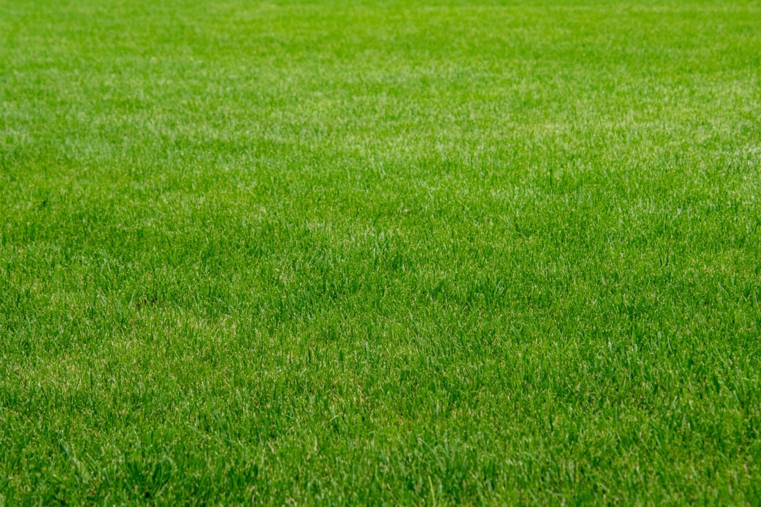 Southlake Weed Control & Lawn Fertilization Service Southlake, TX