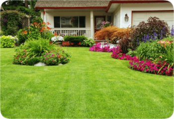 Frisco Landscaping