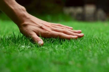 Watering your lawn in North Texas