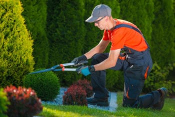 landscaping-trimming