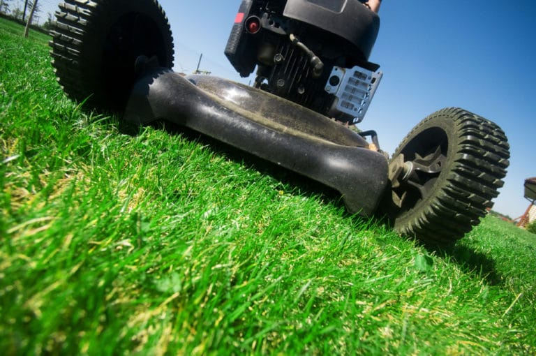 Mulching Lawn Mower Vs. Regular Mower Which is Best?