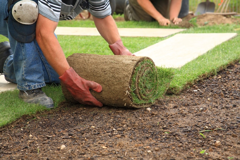 Flower Mound Sod Installation process flower mound