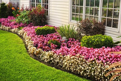 Landscaping service Frisco, TX