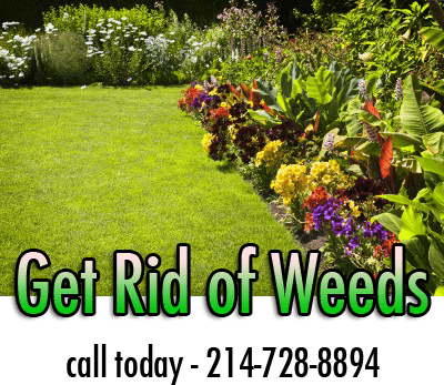 Pre Emergent Weed Killer In The Spring Ryno Lawn Care Llc