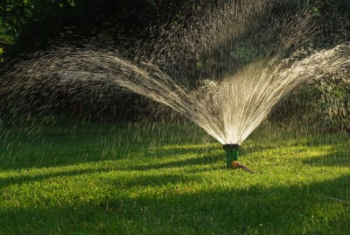 lawn watering sprinkler in partially shaded green grass