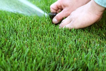 water sprinkler adjustment for new sod