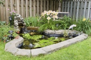 luxury water garden