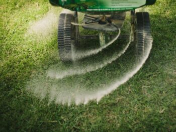 fertilizing the lawn