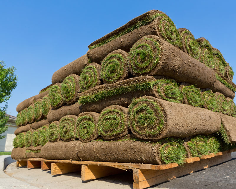 Premium Sod Installation in Southlake, TX - Ryno Lawn Care