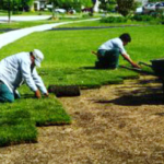 sod installation