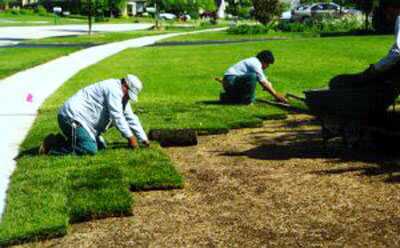 sod installation