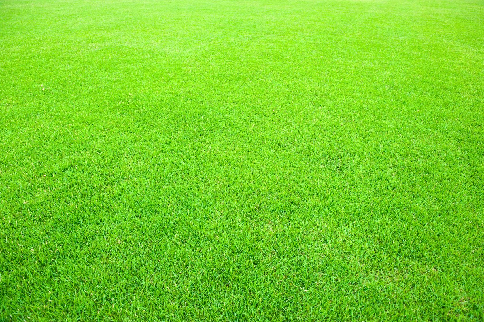 green lawn bkgd Ryno Lawn Care, LLC