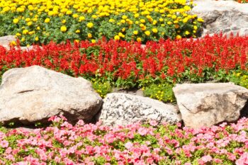 edge flower beds with boulders