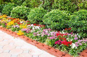 edge garden with bricks