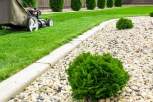 landscaping with rocks no mulch green grass