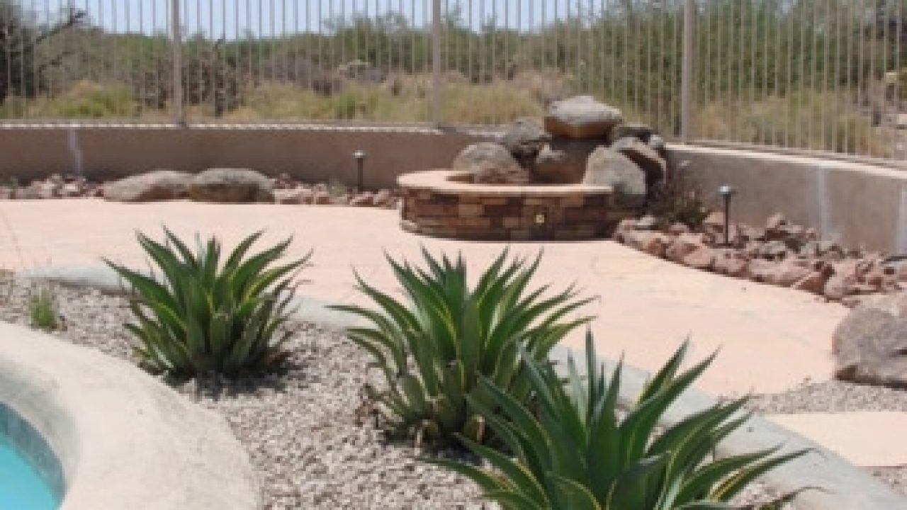 Landscaping Front Yard Desert Plants / Take what you learn during these ...