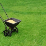 lawn fertilization