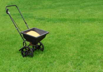 Fall Lawn Fertilizer When to Apply